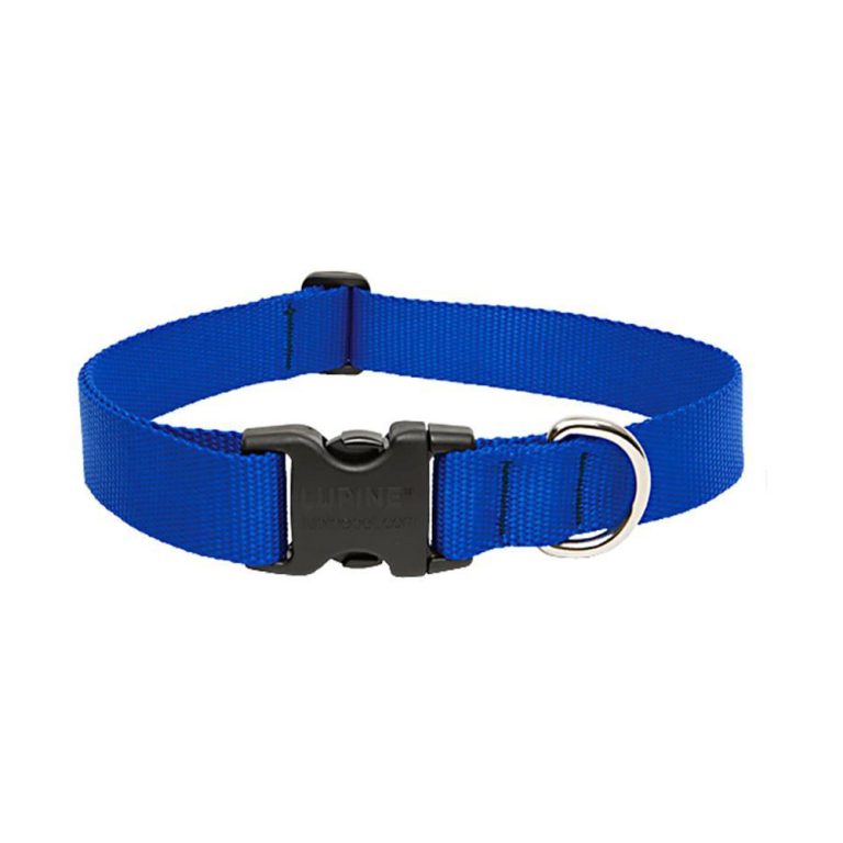 Zg Nylon Mol Blue Click 20mm*35-55cm/09001.200553