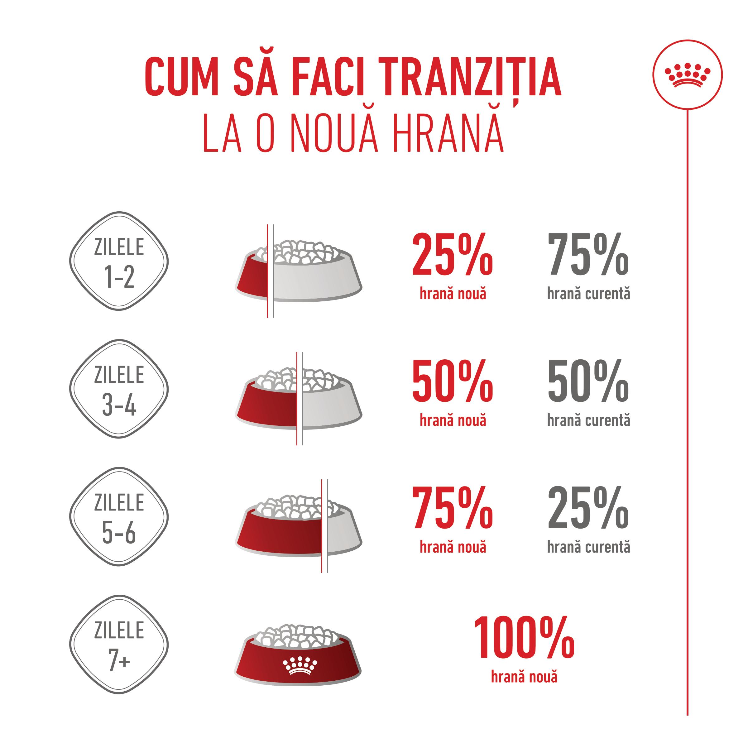 ROYAL-CANIN-Mother-and-BabyCat-hrana-uscata-pisici-mama-si-puiul-ghid-tranzitie