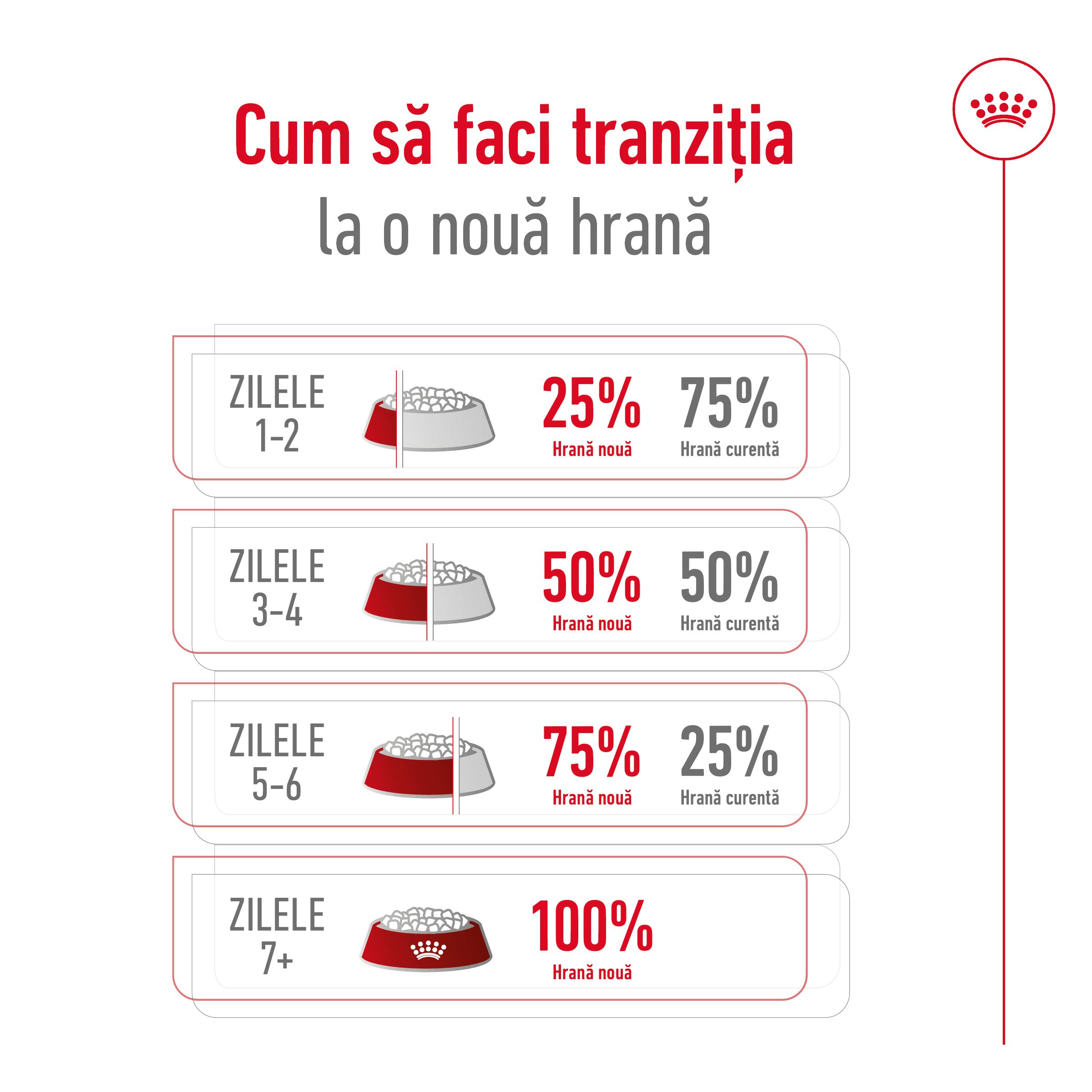 ROYAL-CANIN-Mini-Adult-hrana-uscata-caini-tranzitie-hrana