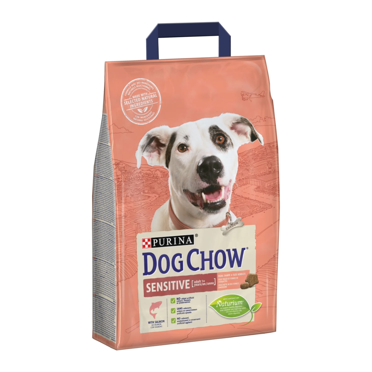 Hrana Caine Purina Dog Chow Sensitive Adult Somon 1 kg Vrac